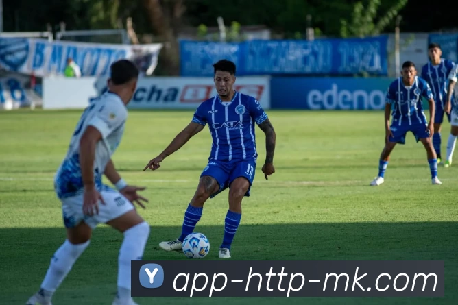 MK体育平台生态图